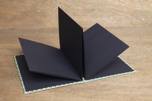 Leporello offen mit schwarzem Fotokarton